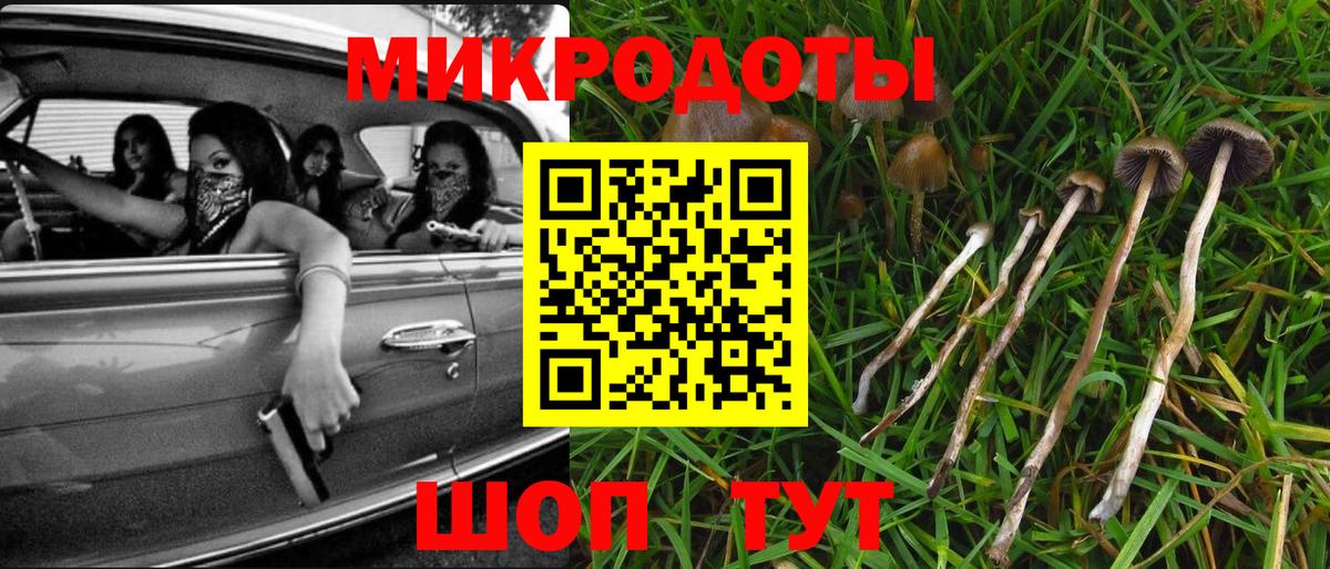 Галлюциногенные грибы Cubensis  Вход с VPN  Златоуст 