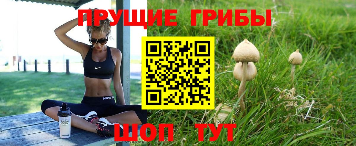 Галлюциногенные грибы MAGIC MUSHROOMS Златоуст